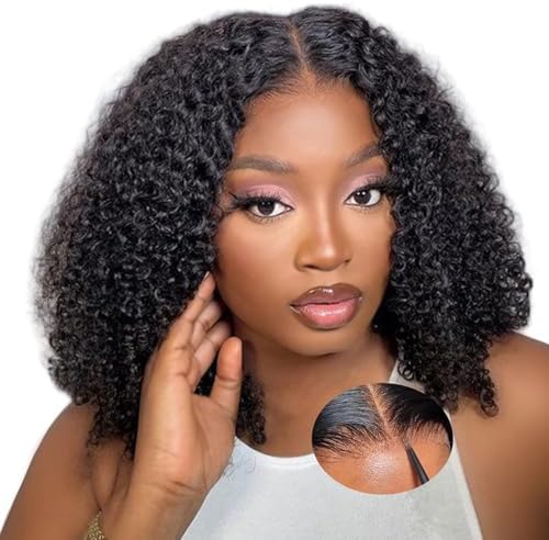 18 Inch Afro Kinky Curly 9x6 Human Hair Wig