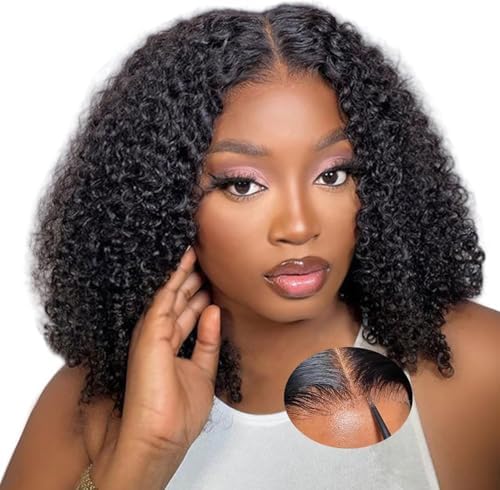 16 Inch Afro Kinky Curly 9x6 Human Hair Wig